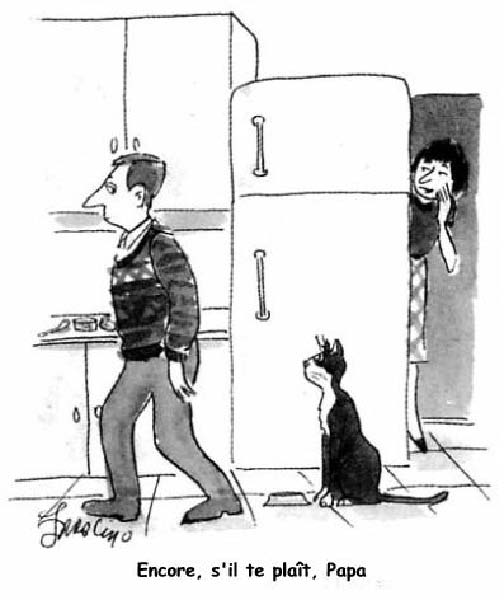 Il parle-humourenvrac